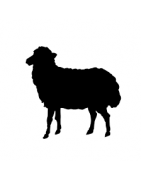 Moutons - chevres