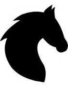 Chevaux