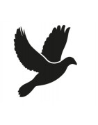 Oiseaux